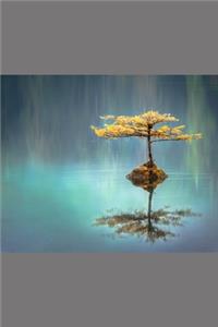 Nature Journal