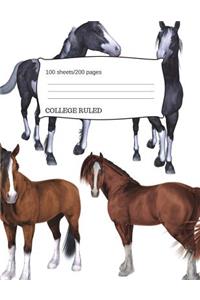 Horses Ponies Composition Notebook