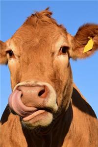 Cow with an Itchy Nose Journal
