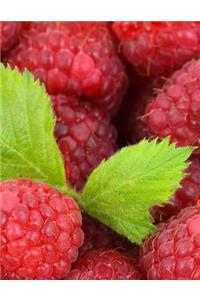 Raspberries Notebook Large Size 8.5 x 11 Ruled 150 Pages Softcover