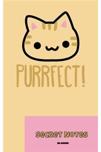 Purrfect! Secret Notes