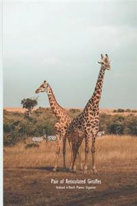 Pair of Reticulated Giraffes Undated 6-Month Planner Organizer