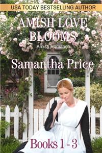 Amish Love Blooms Books 1 - 3