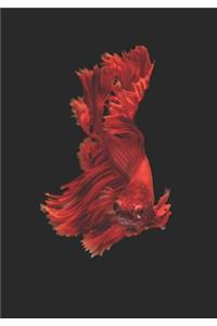 2019 Appointment Calendar: 2019 Daily Planner Goal Planner Red Betta