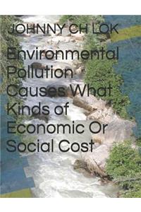 Environmental Pollution Causes What Kinds of Economic Or Social