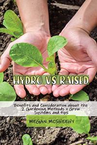 Hydroponics Vs Raised Bed Gardening