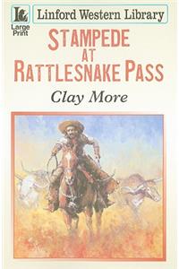 Stampede at Rattlesnake Pass