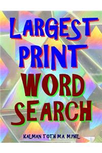 Largest Print Word Search