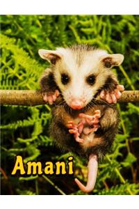 Amani
