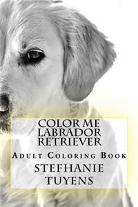 Color Me Labrador Retriever