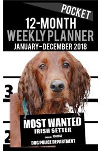 2018 Pocket Weekly Planner - Most Wanted Irish Setter