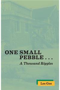 One Small Pebble ...