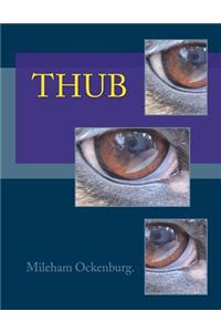 THub