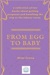 From Egg to Baby