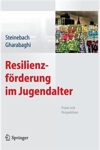 Resilienzförderung Im Jugendalter: PRAXIS Und Perspektiven