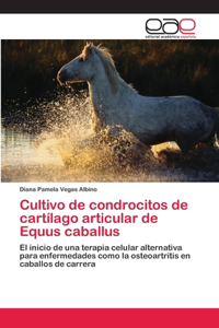 Cultivo de condrocitos de cartílago articular de Equus caballus