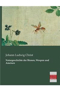 Naturgeschichte Der Bienen, Wespen Und Ameisen