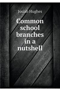 Common School Branches in a Nutshell