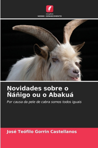 Novidades sobre o Ñáñigo ou o Abakuá