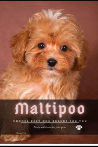 Maltipoo