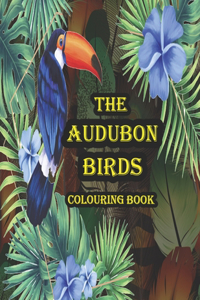 Audubon Birds Colouring Book