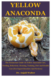 Yellow Anaconda