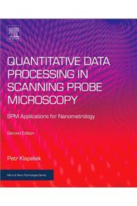 Quantitative Data Processing in Scanning Probe Microscopy