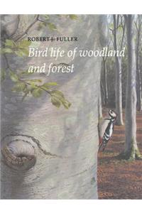 Bird Life of Woodland and Forest