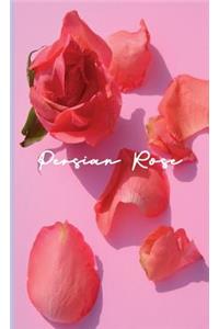 Persian Rose