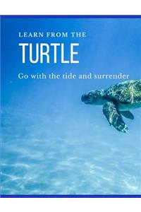Learn from the Turtle