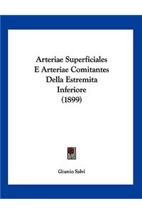 Arteriae Superficiales E Arteriae Comitantes Della Estremita Inferiore (1899)