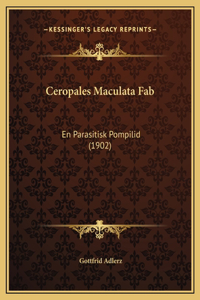 Ceropales Maculata Fab