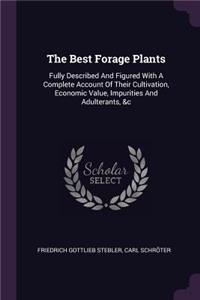 Best Forage Plants