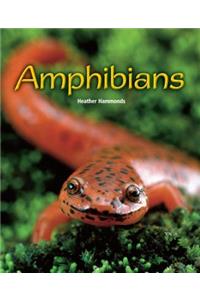Rigby Flying Colors: Leveled Reader Bookroom Package Silver Amphibians