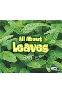 All about Leaves