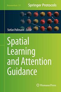 Spatial Learning and Attention Guidance