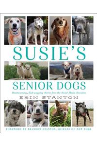 Susie's Senior Dogs