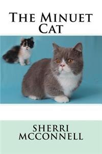 Minuet Cat