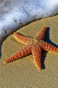 The Starfish Journal