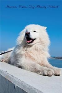 American Eskimo Dog February Notebook American Eskimo Dog Record, Log, Diary, Special Memories, To Do List, Academic Notepad, Scrapbook & More