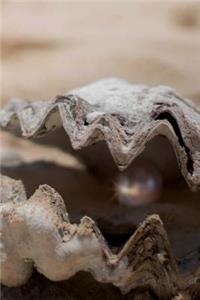 Lovely White Pearl in an Oyster Shell Journal