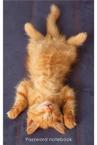 Password Notebook: Internet Address and Password Logbook / Journal / Diary - Ginger Kitten Chilling Out