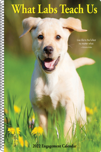 What Labs Teach Us 2022 Engagement Calendar