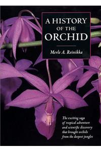 History of the Orchid