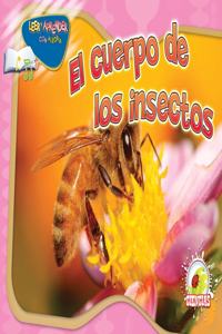 El Cuerpo de Los Insectos
