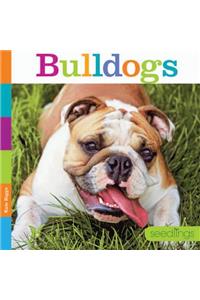 Bulldogs