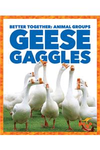 Geese Gaggles