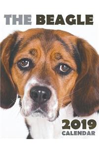 The Beagle 2019 Calendar