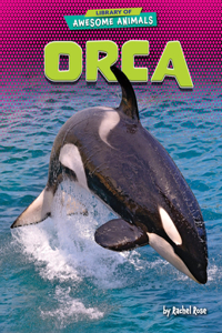 Orca