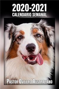 2020-2021 Calendario Semanal Pastor Ovejero Australiano